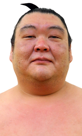 Portrait of the sumo wrestler