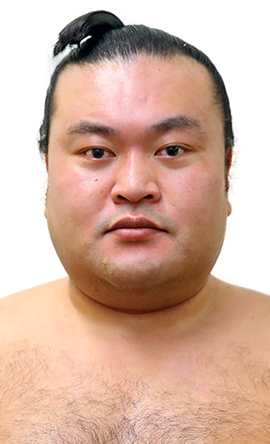 Portrait of the sumo wrestler