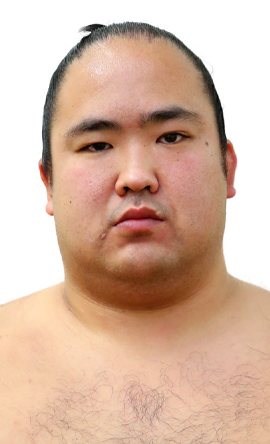 Portrait of the sumo wrestler