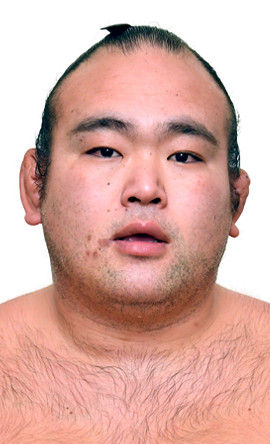 Portrait of the sumo wrestler