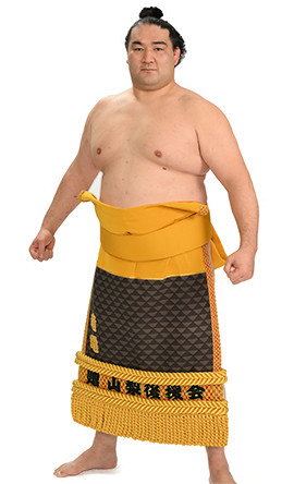 Portrait of the sumo wrestler