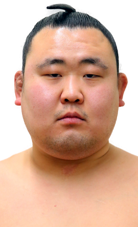 Portrait of the sumo wrestler