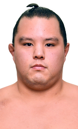 Portrait of the sumo wrestler