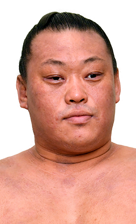 Portrait of the sumo wrestler