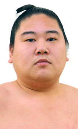 Portrait of the sumo wrestler