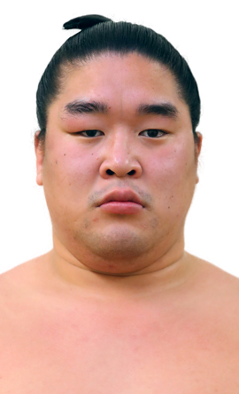 Portrait of the sumo wrestler