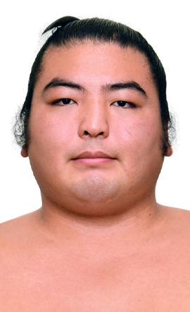 Portrait of the sumo wrestler