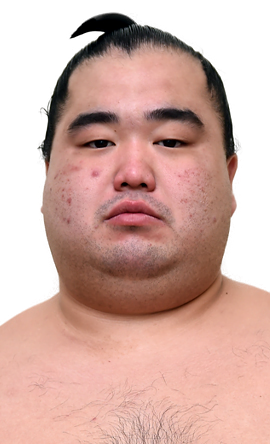 Portrait of the sumo wrestler