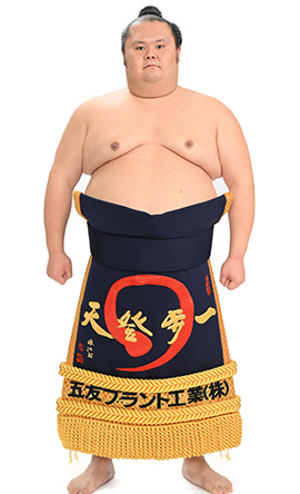 Portrait of the sumo wrestler