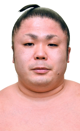 Portrait of the sumo wrestler