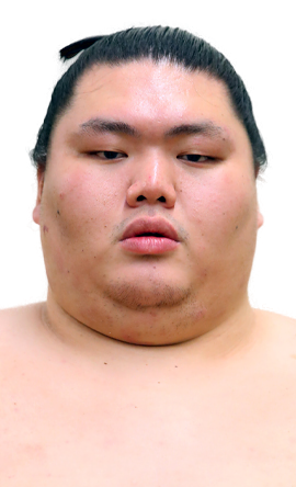 Portrait of the sumo wrestler