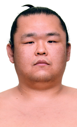 Portrait of the sumo wrestler